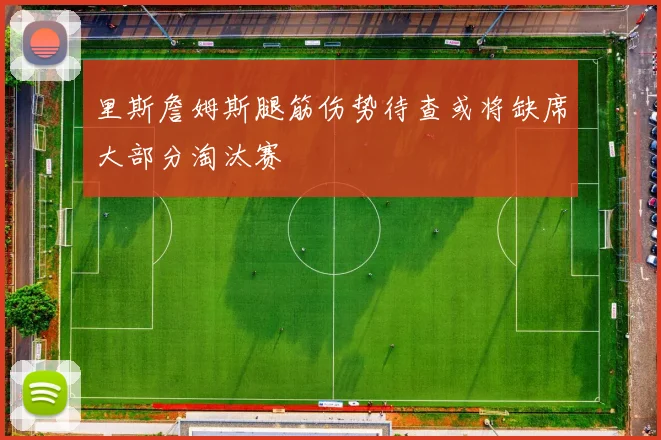 里斯詹姆斯腿筋伤势待查或将缺席大部分淘汰赛